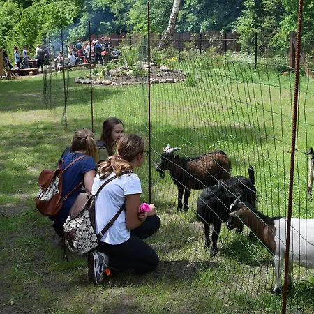 Privatunterkunft Remiza W Starej Papierni *