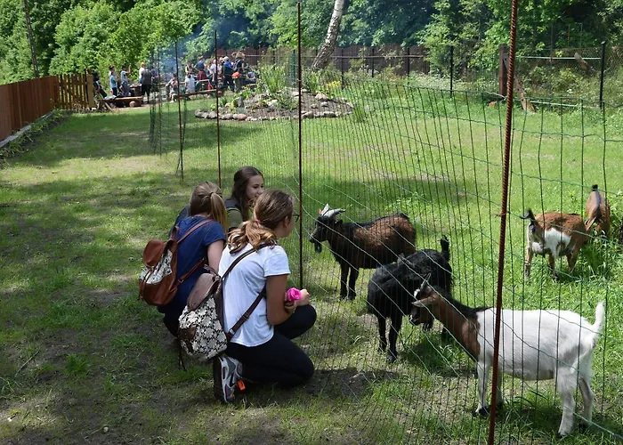 Проживание в семье Remiza W Starej Papierni *